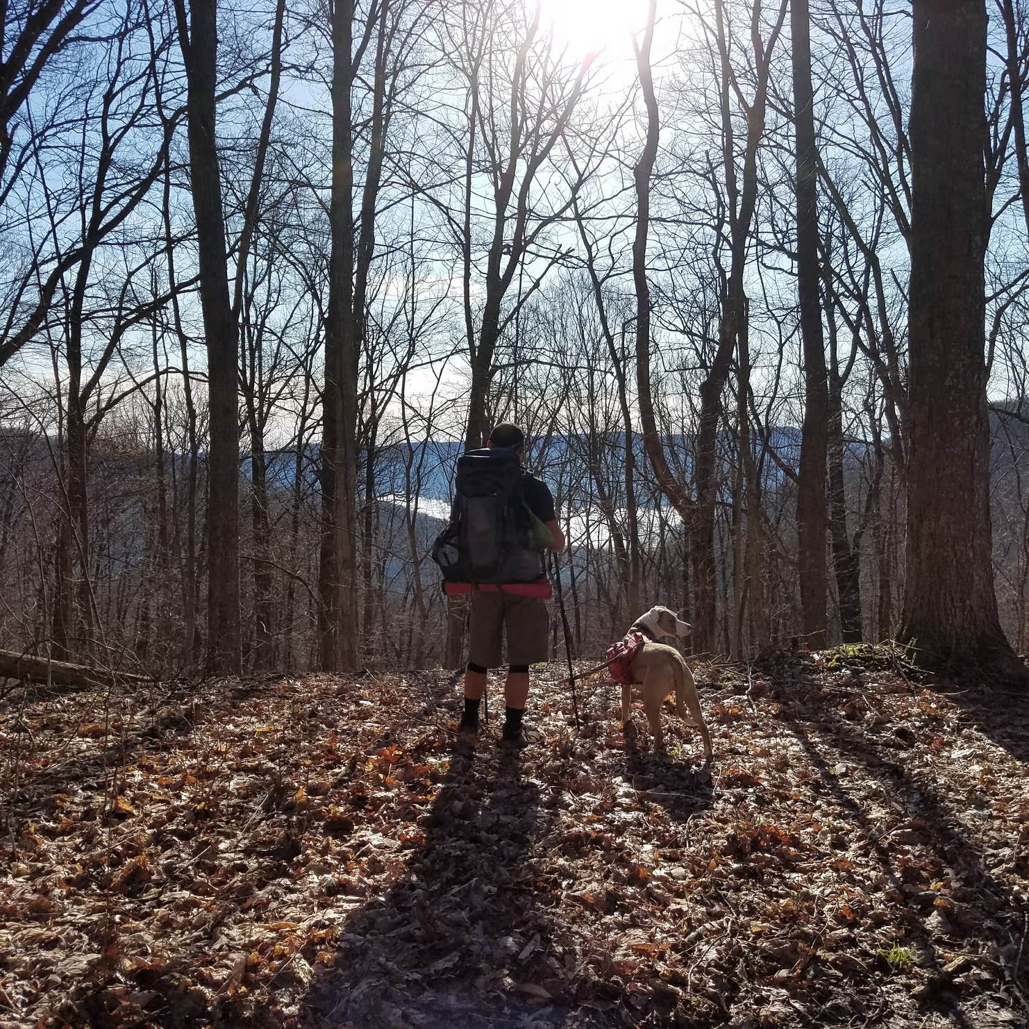 Frozen Head State Park Camping Wartburg, TN The Dyrt