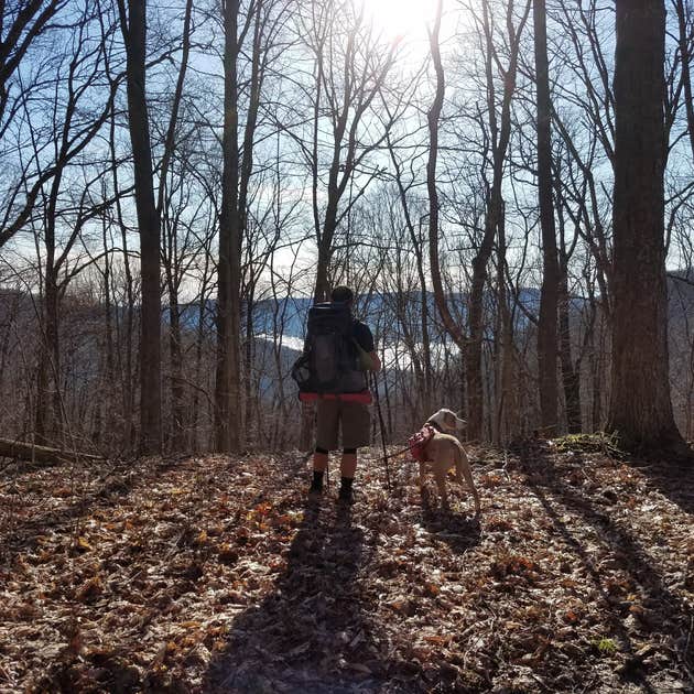Frozen Head State Park Camping Wartburg, TN The Dyrt
