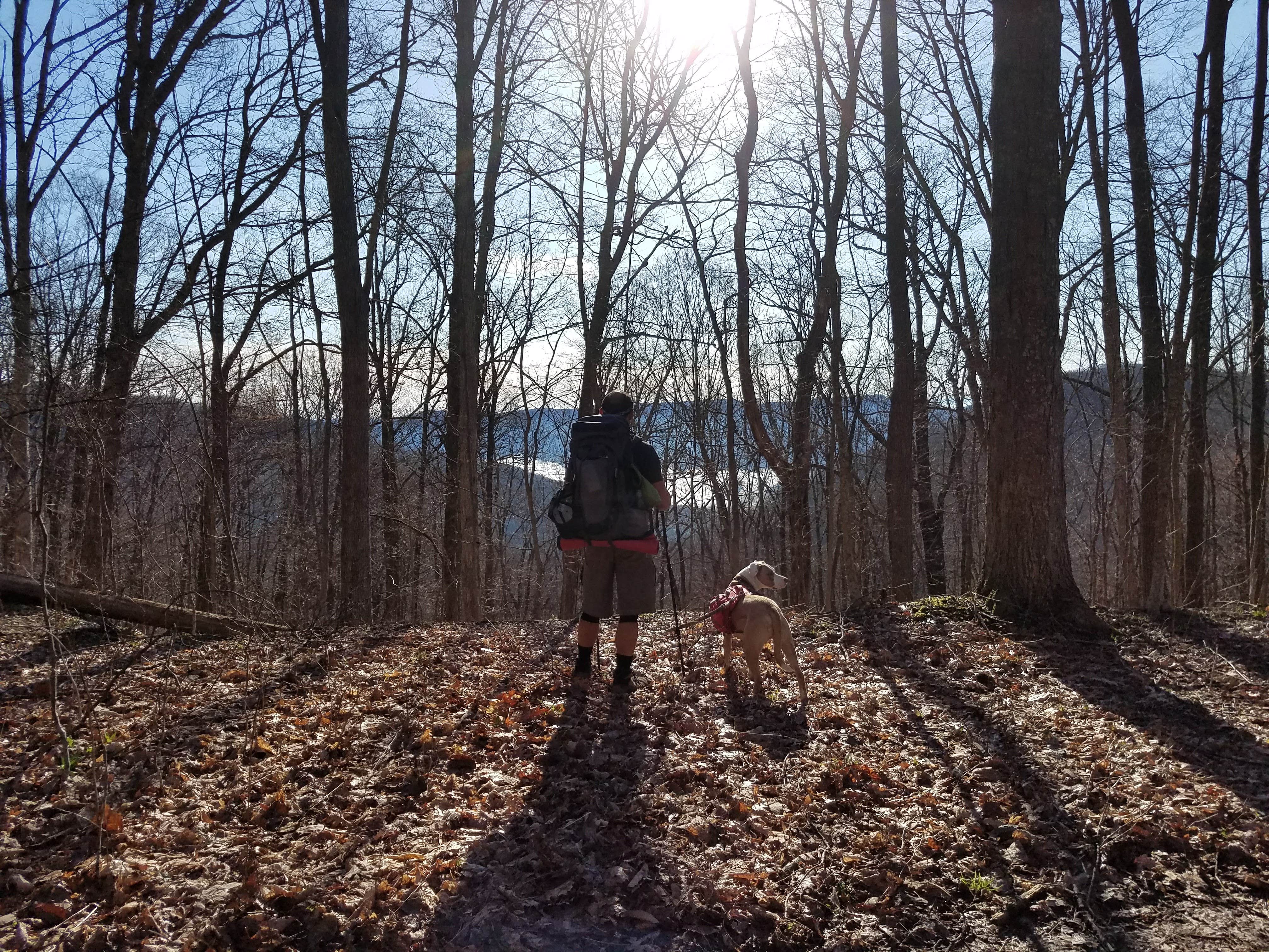 Camper submitted image from Frozen Head State Park Campground - 5