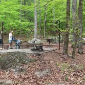 Review photo of Frozen Head State Park Campground by Sarah E., April 18, 2017
