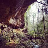 Review photo of Bandy Creek Campground — Big South Fork National River and Recreation Area by Sarah E., April 18, 2017