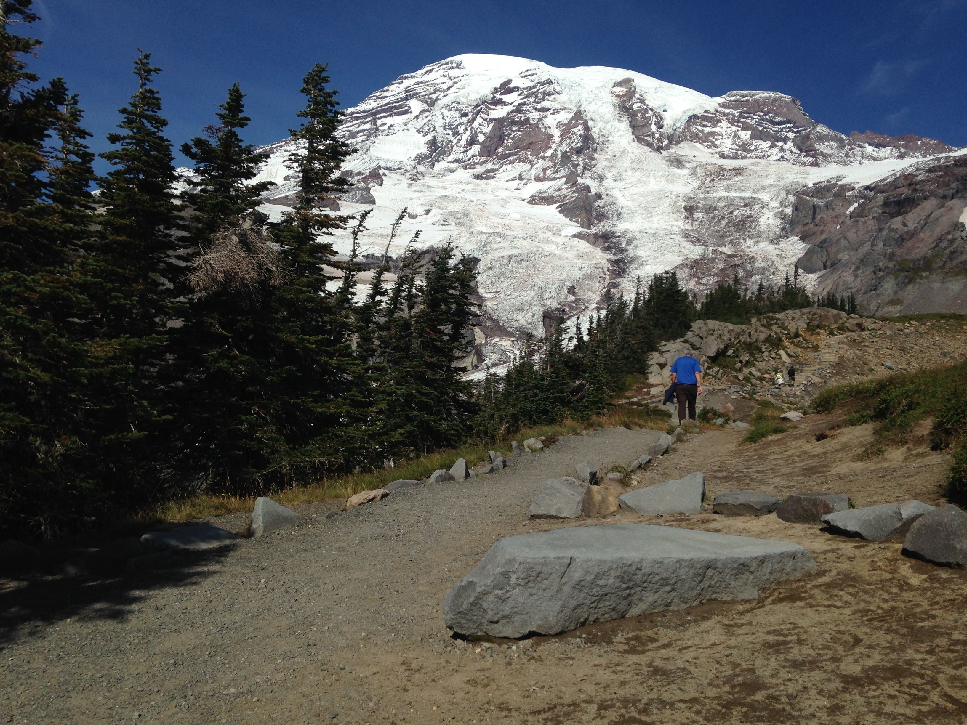 Camper submitted image from Cougar Rock Campground — Mount Rainier National Park - 3