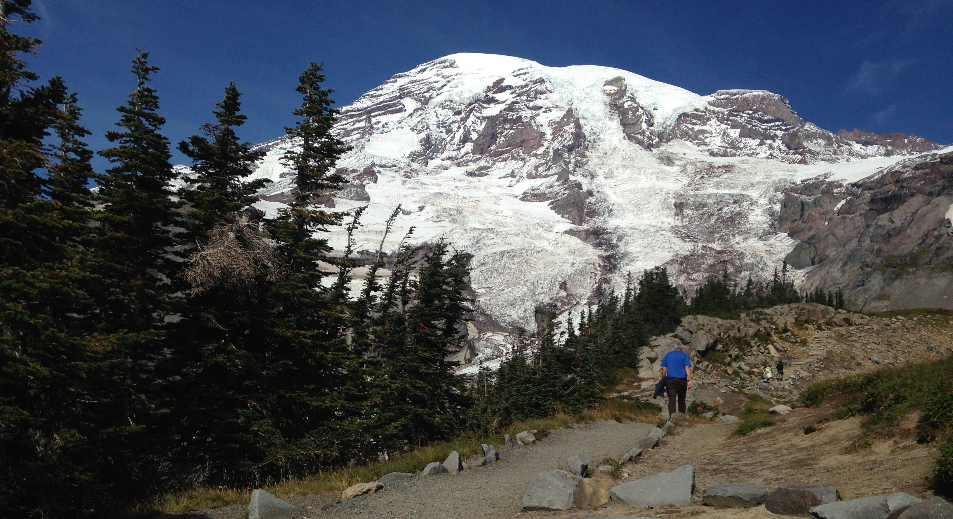 Mount Rainier View from Hike Near Cougar Rock Campground at Mount Rainier National Park