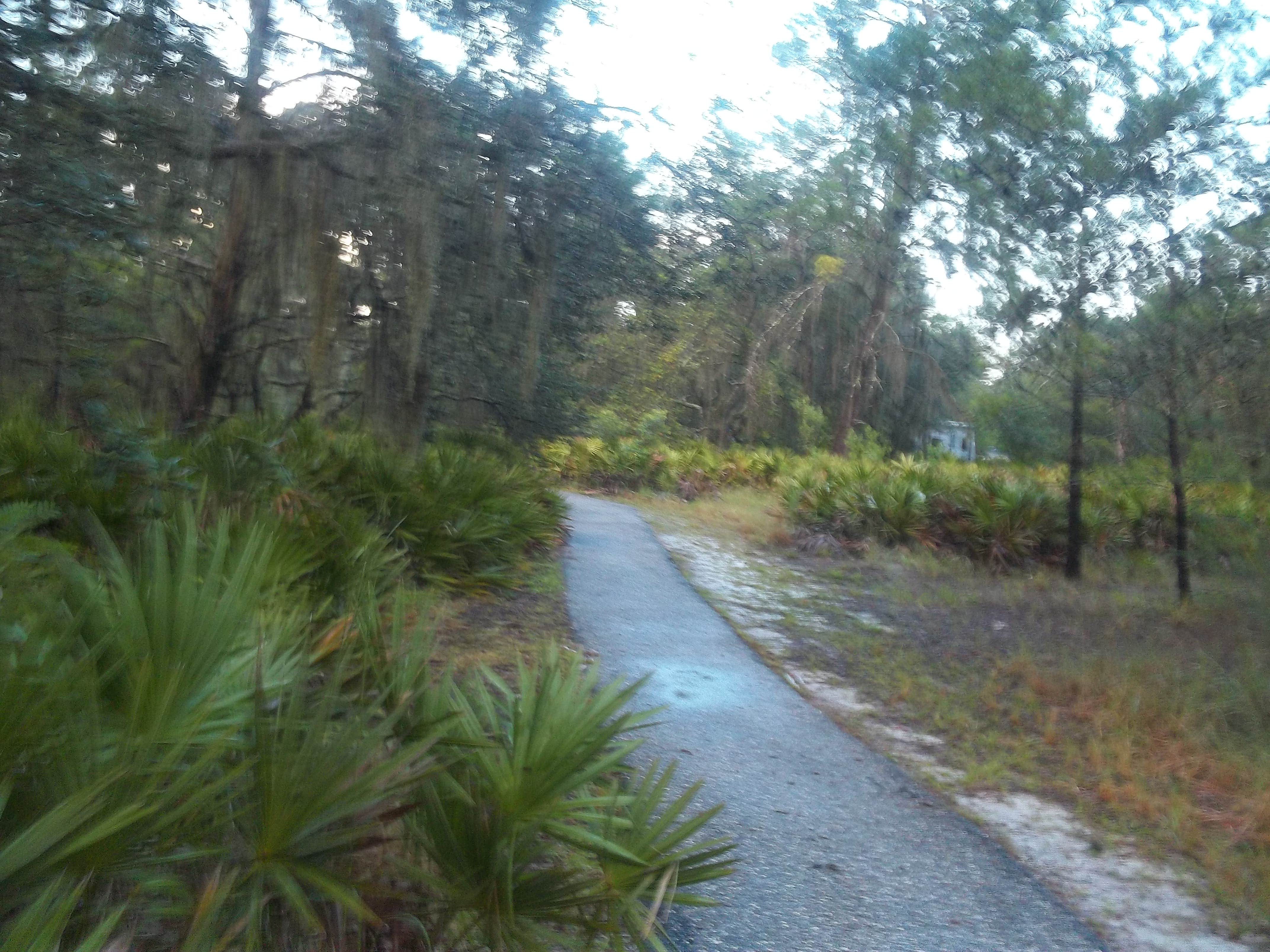 Camper submitted image from Lake Manatee State Park Campground - 5