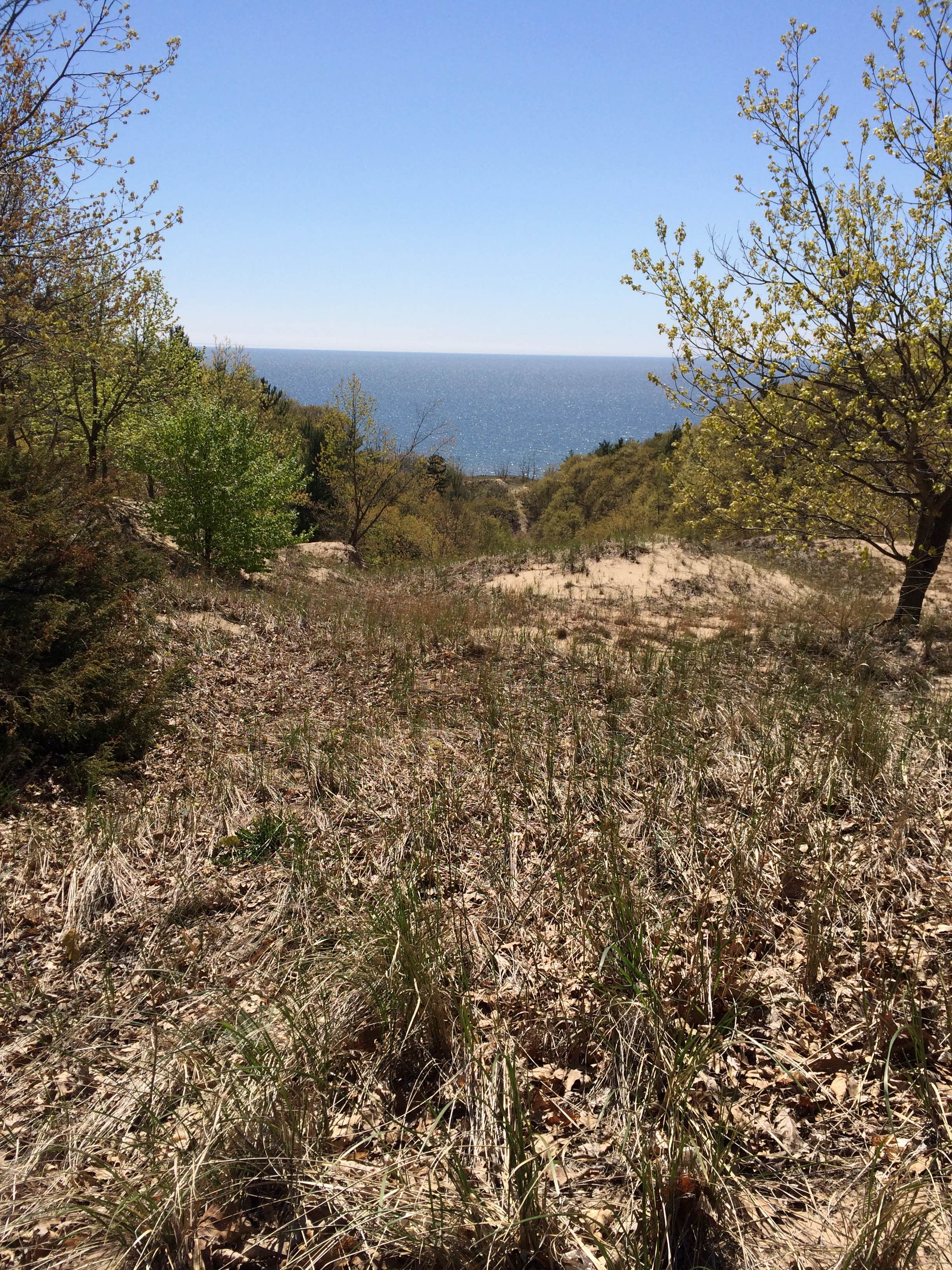 Camper submitted image from Hoffmaster State Park Campground - 3