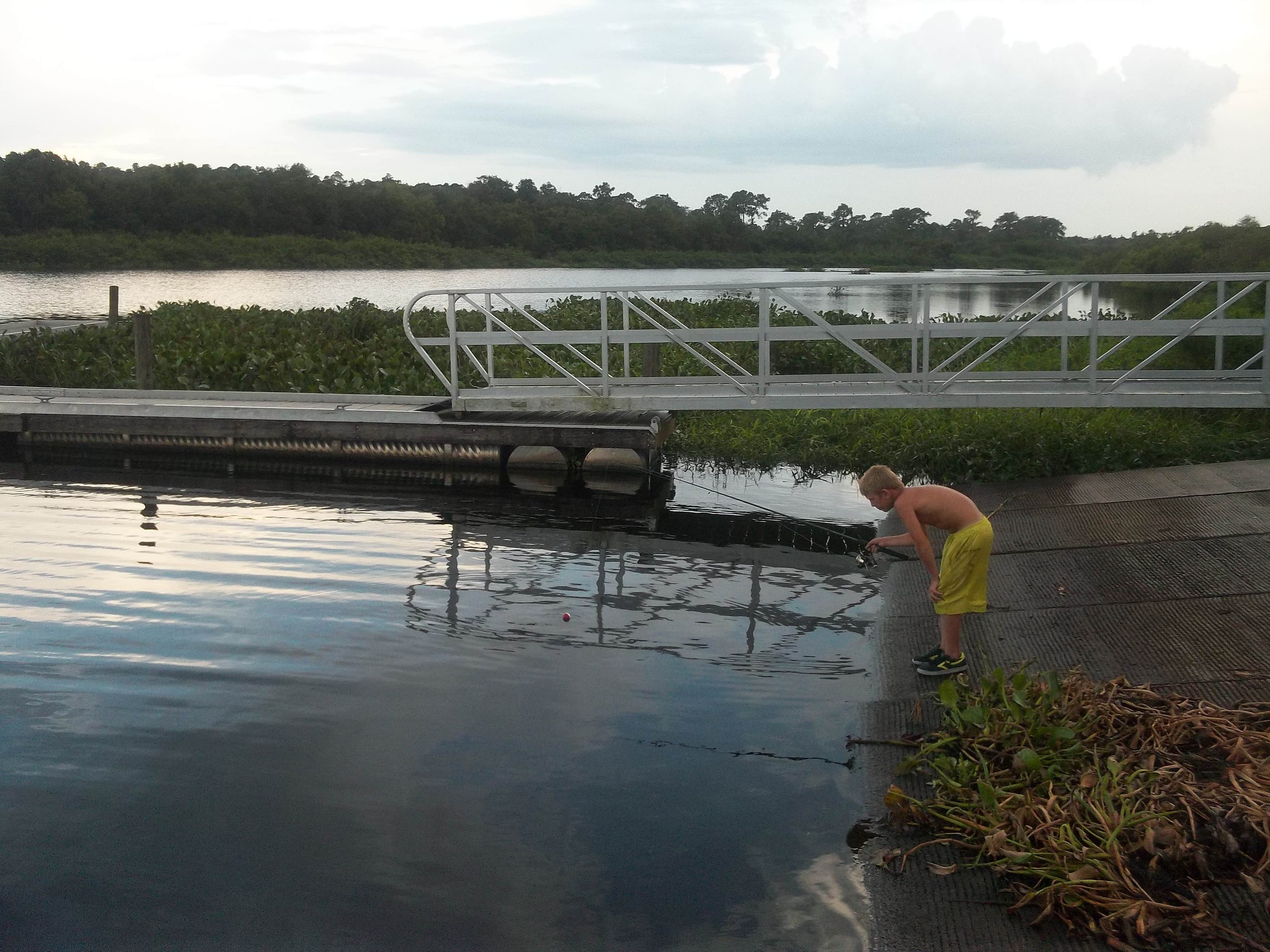 Camper submitted image from Lake Manatee State Park Campground - 2