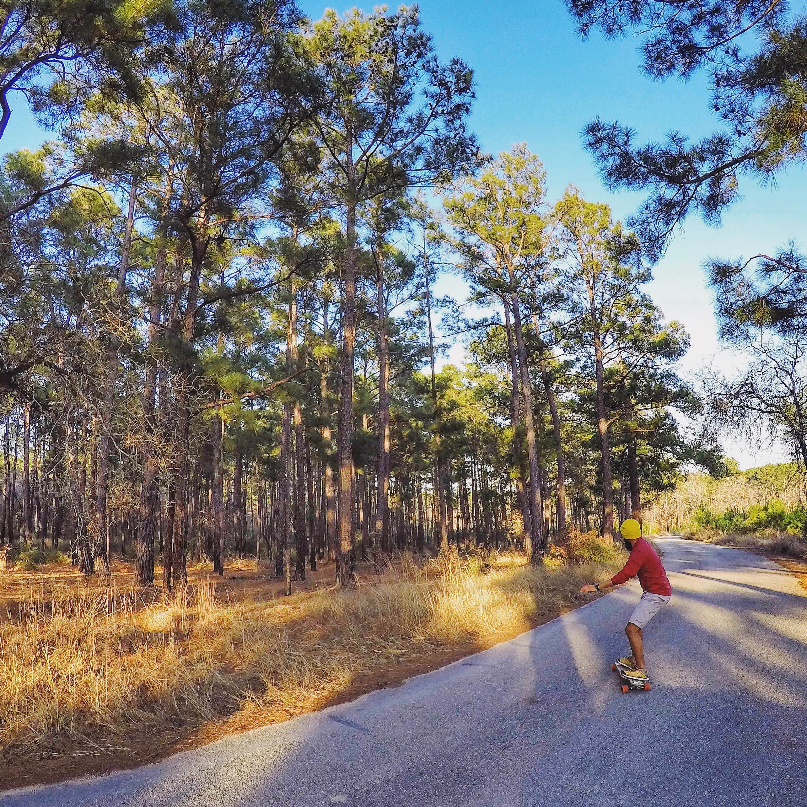 Camper submitted image from Bastrop State Park Campground - 3