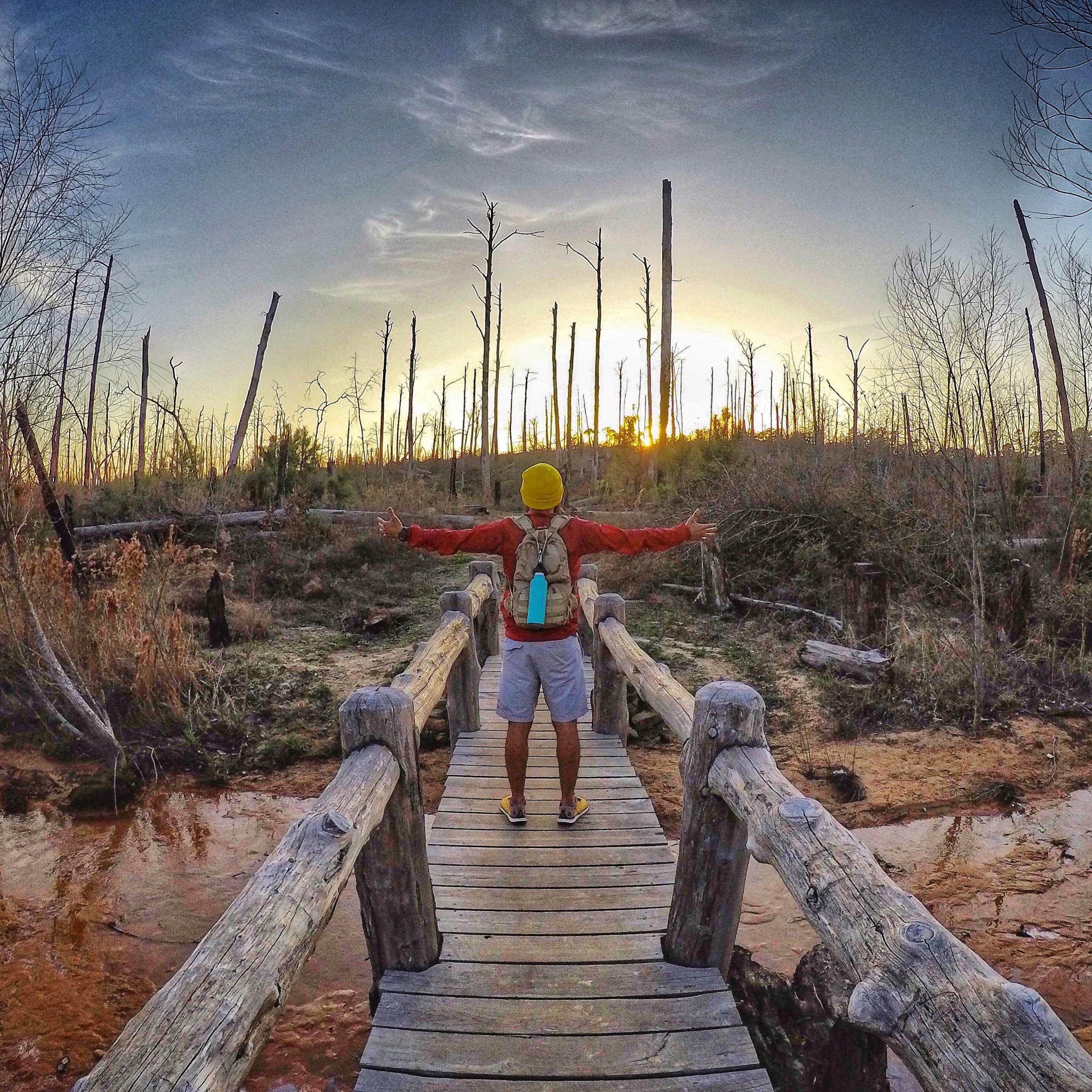 Camper submitted image from Bastrop State Park Campground - 5