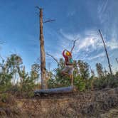 Review photo of Bastrop State Park Campground by JJ T., April 19, 2017