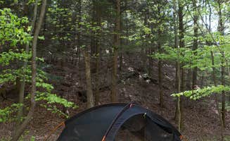 Amy G.'s photo at Hoffmaster State Park Campground near Coopersville, MI