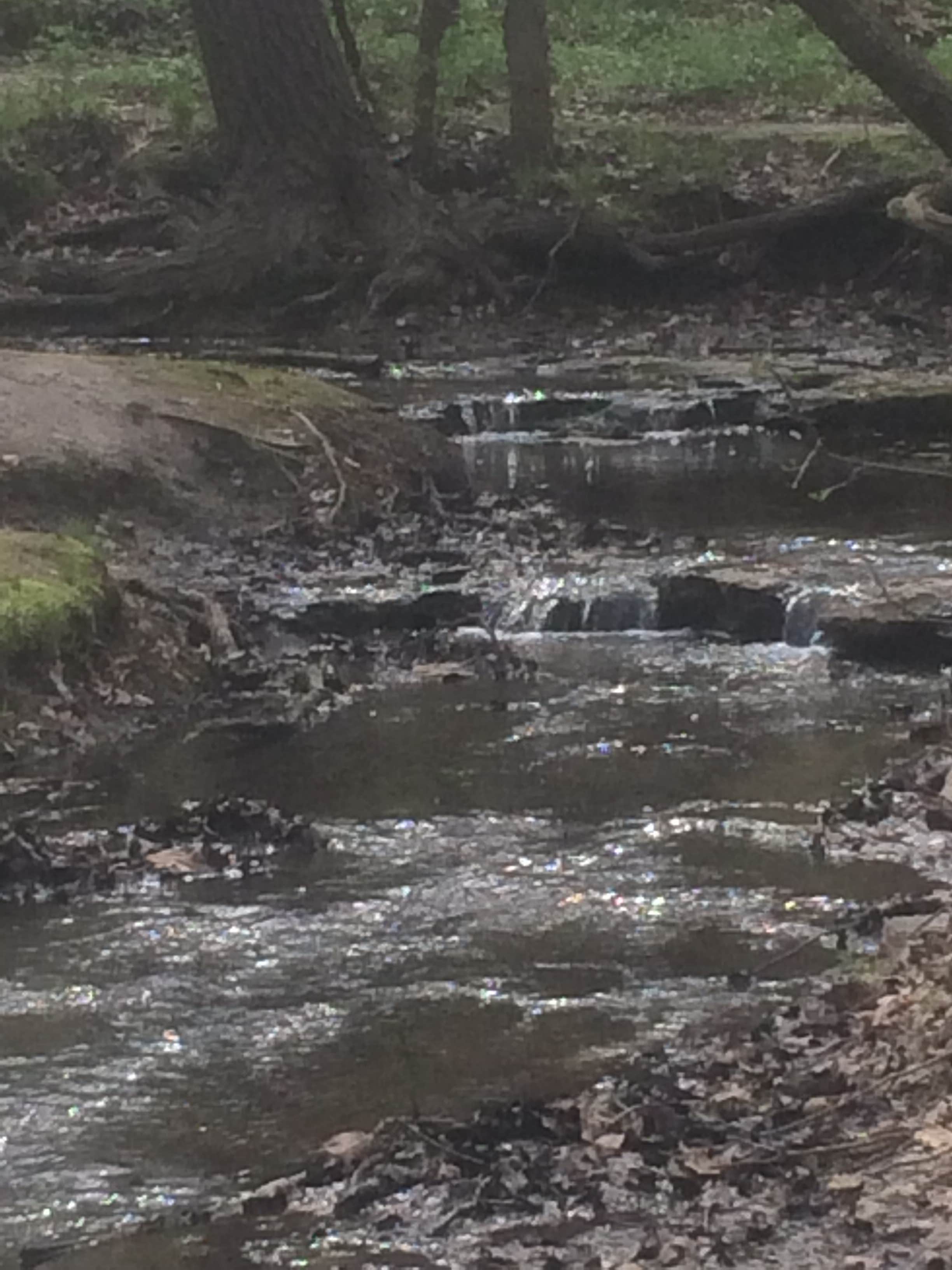 Camper submitted image from Platte River State Park Campground - 3