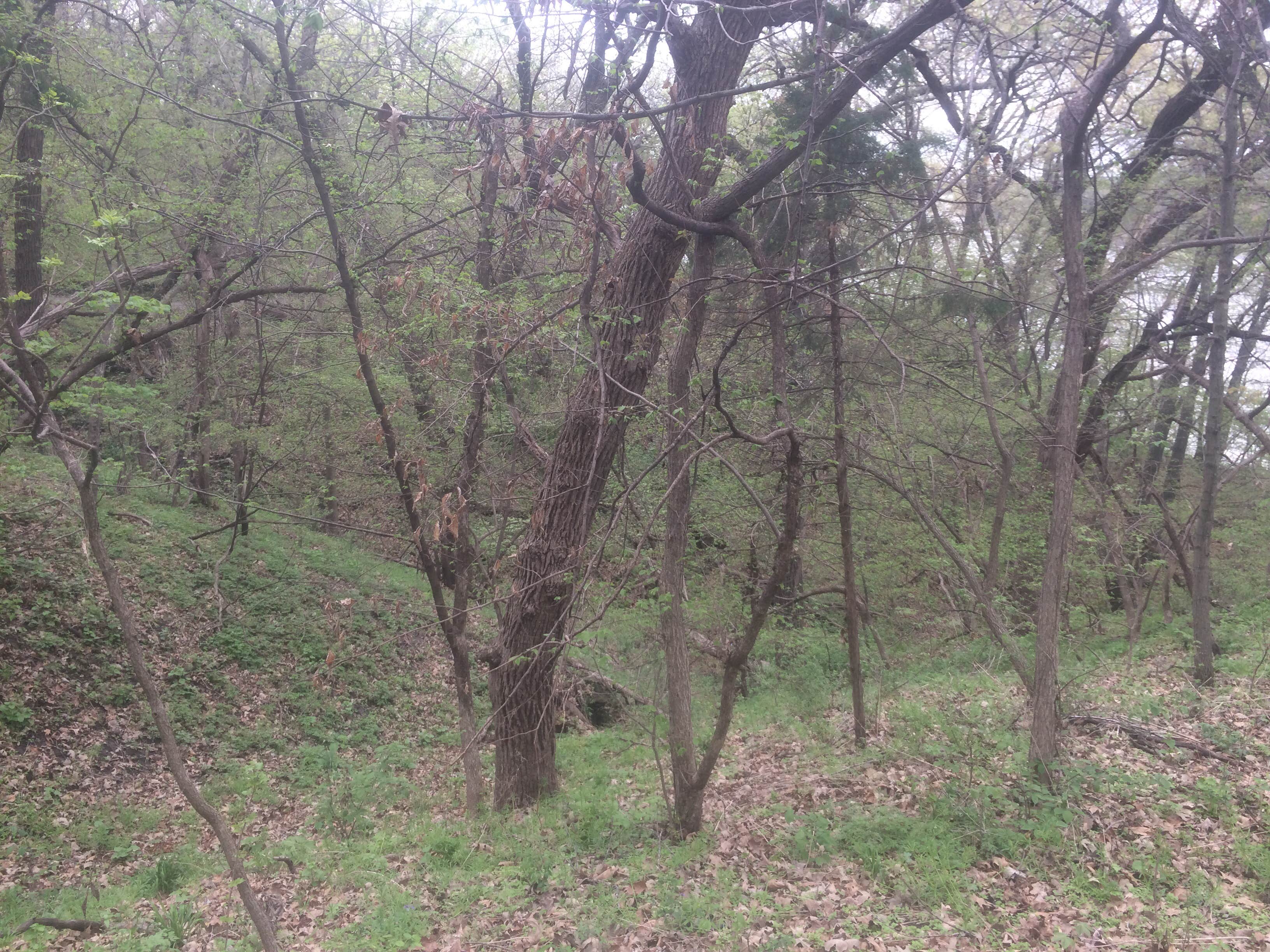 Camper submitted image from Platte River State Park Campground - 2