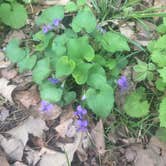Review photo of Platte River State Park Campground by Aaron  A., April 19, 2017
