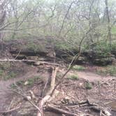 Review photo of Platte River State Park Campground by Aaron  A., April 19, 2017