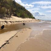 Review photo of Hoffmaster State Park Campground by Amy G., June 16, 2016