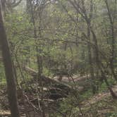 Review photo of Platte River State Park Campground by Aaron  A., April 19, 2017