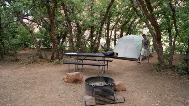 Camper submitted image from Oak Grove Campground - 4