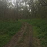 Review photo of Hitchcock County Nature Center by Aaron  A., April 21, 2017