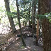 Review photo of Hoffmaster State Park Campground by Amy G., June 16, 2016