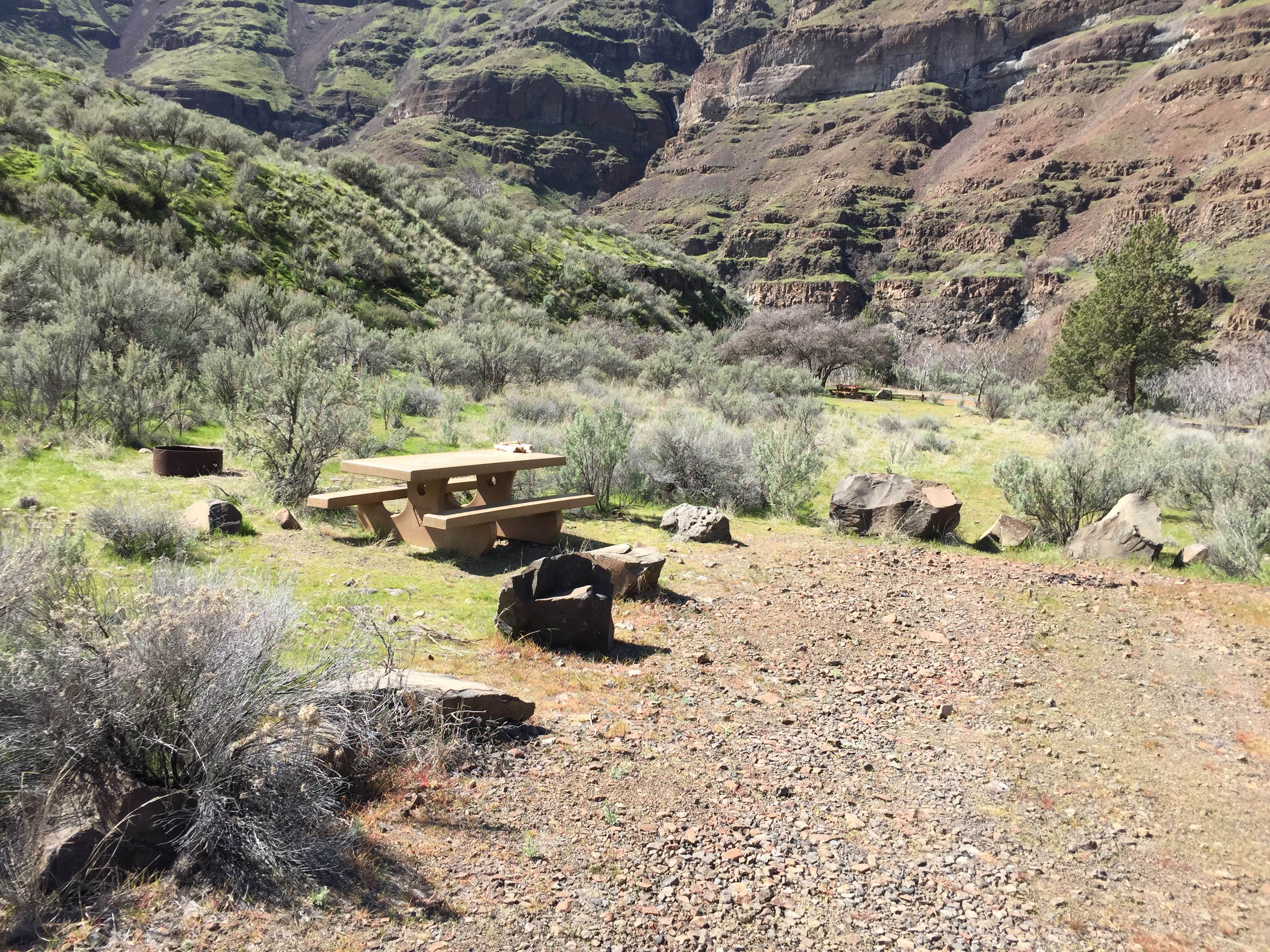 Camper submitted image from Beavertail Campground — Lower Deschutes Wild And Scenic River - 2