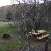 Review photo of Beavertail Campground — Lower Deschutes Wild And Scenic River by Bjorn S., April 22, 2017