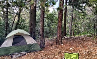 Sarah C.'s photo at Dogwood near Mojave River Dam