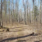 Review photo of Banning State Park Campground by Mike K., April 23, 2017