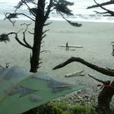 Review photo of Shi Shi Beach — Olympic National Park by David L., April 23, 2017