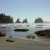 Review photo of Shi Shi Beach — Olympic National Park by David L., April 23, 2017