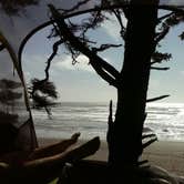Review photo of Shi Shi Beach — Olympic National Park by David L., April 23, 2017