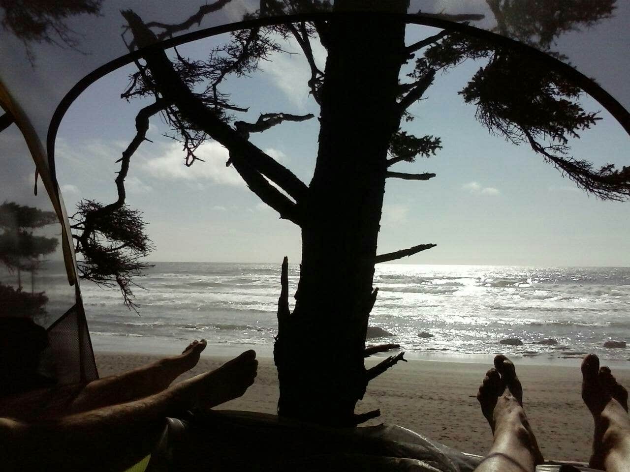 Camper submitted image from Shi Shi Beach — Olympic National Park - 1