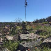 Review photo of Inks Lake State Park Campground by Ricky B., June 16, 2016