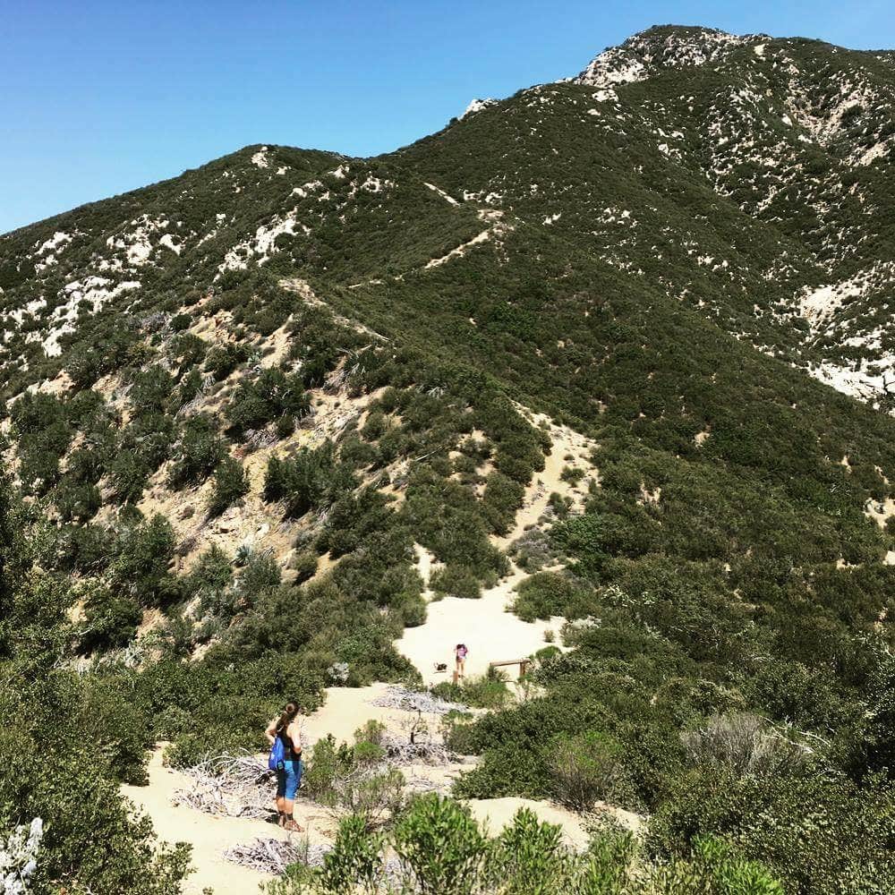 Coldbrook Campground Camping The Dyrt