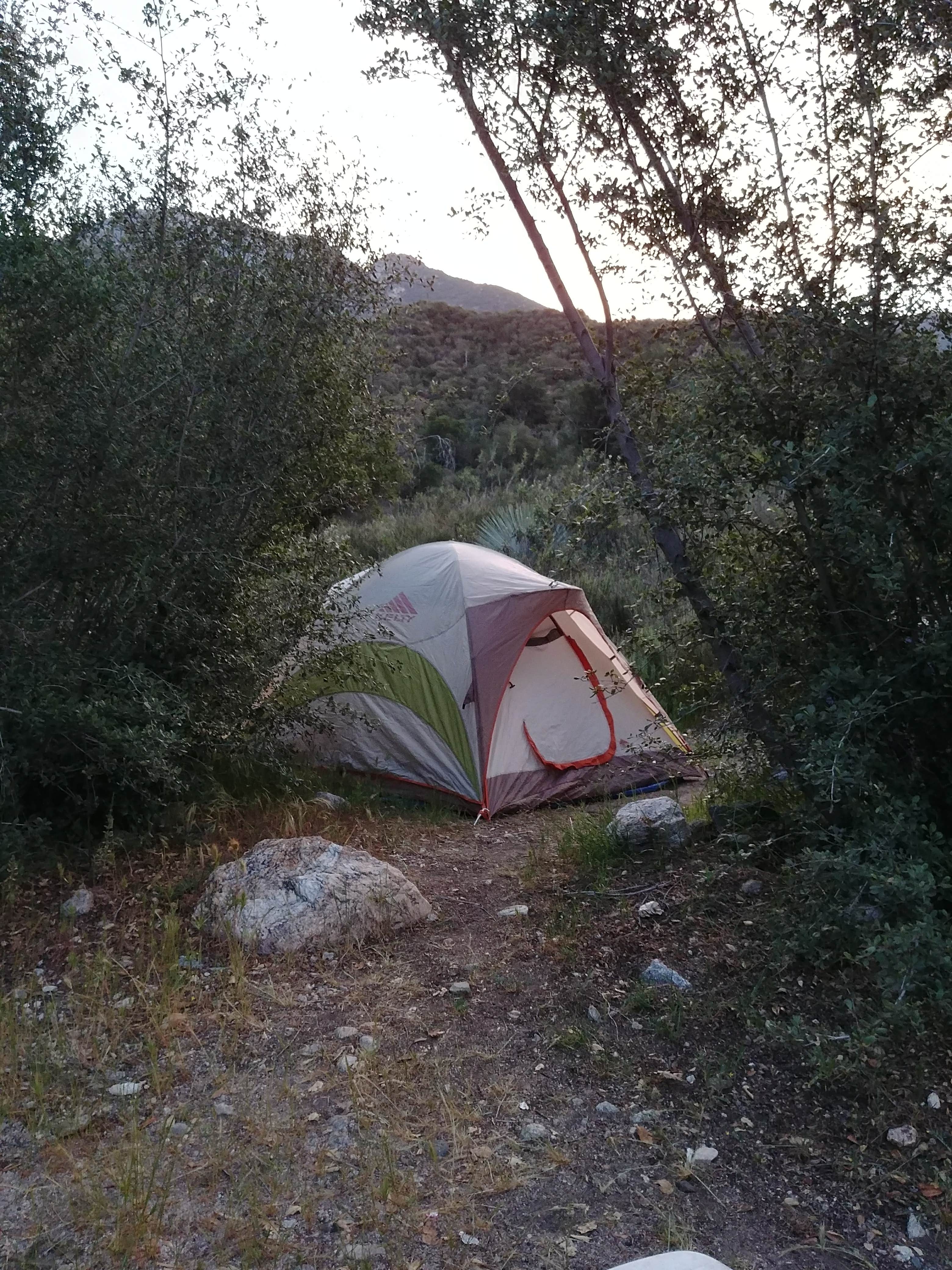 Camper submitted image from Coldbrook Campground - 4