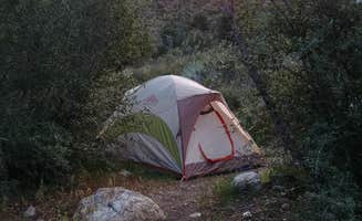 Forest G.'s photo at Coldbrook Campground near La Verne, CA