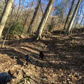 Review photo of Rock Island State Park Campground by Shelly S., April 23, 2017