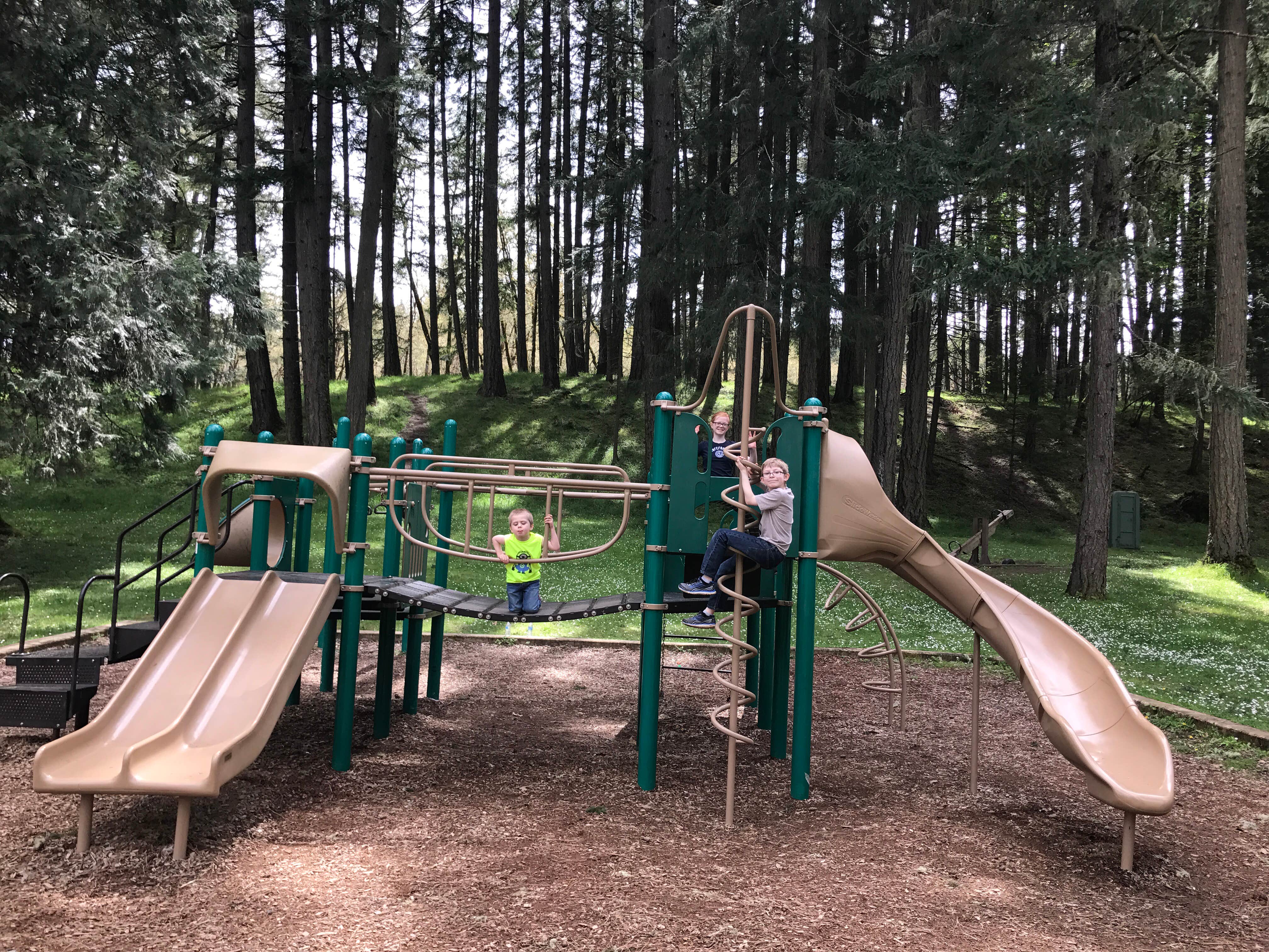 Camper-submitted photo at Whistlers Bend County Park near Idleyld Park, OR