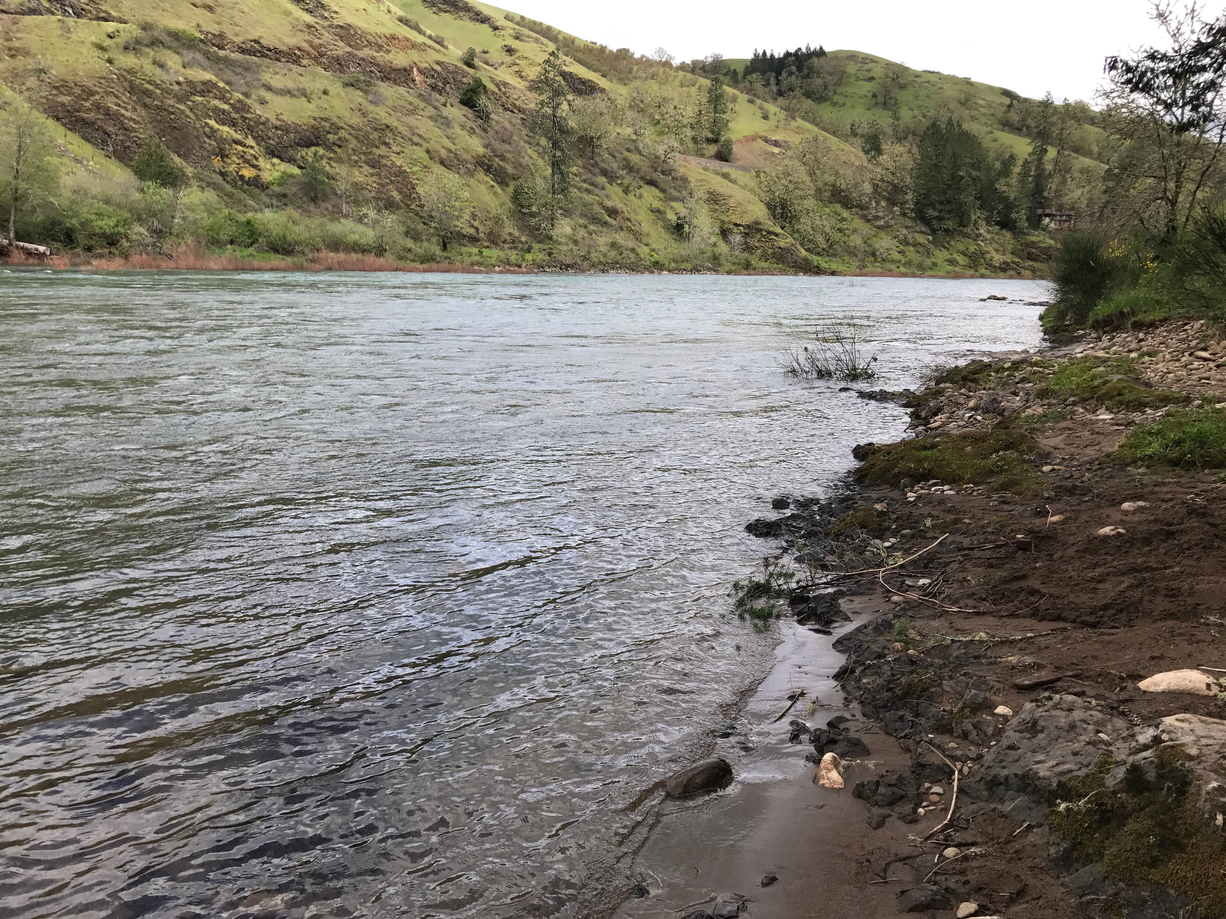 Camper submitted image from Whistlers Bend County Park - 2