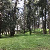 Review photo of Whistlers Bend County Park by Jennifer C., April 9, 2017