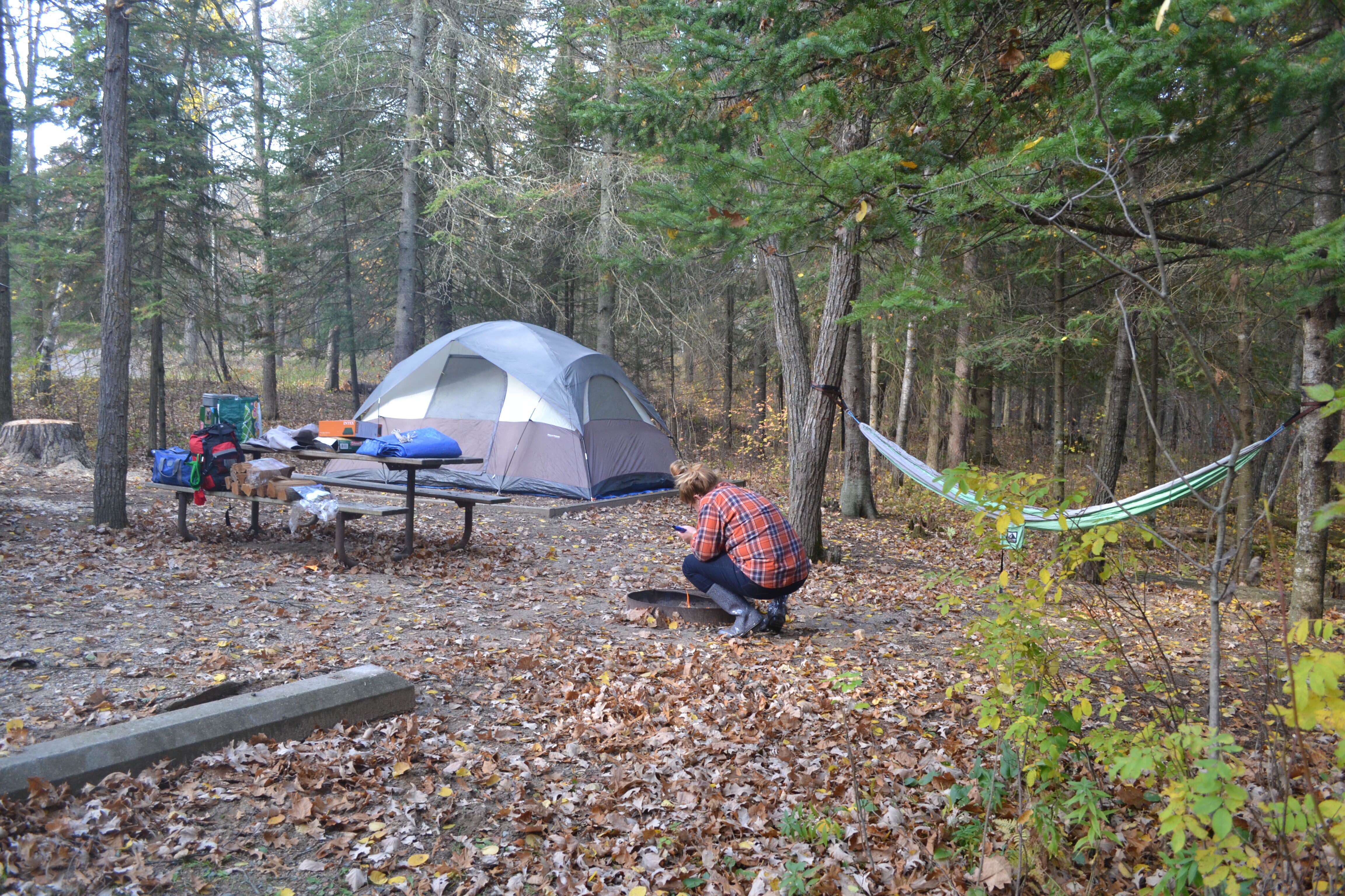 Erin L.'s photo at Lake Bemidji State Park Campground near Shevlin, MN