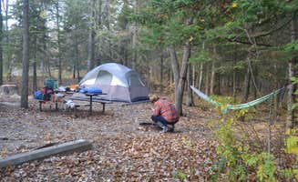 Erin L.'s photo at Lake Bemidji State Park Campground near Bemidji, MN
