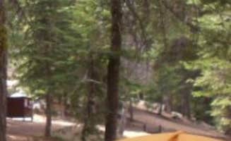 Kelly S.'s photo at Dorst Creek Campground — Sequoia National Park - TEMPORARILY CLOSED near Sequoia & Kings Canyon National Parks