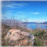 Review photo of Steep Ravine Campground — Mount Tamalpais State Park by Kelly S., April 26, 2017