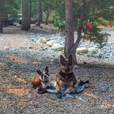 Review photo of Plumas-Eureka State Park Campground by Kelly S., April 26, 2017