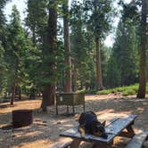 Review photo of Plumas-Eureka State Park Campground by Kelly S., April 26, 2017