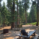 Review photo of Upper Jamison Creek Campground — Plumas-Eureka State Park by Kelly S., April 26, 2017