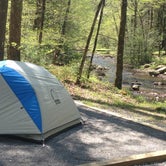 Review photo of Elkmont Campground — Great Smoky Mountains National Park by Elliot Q., April 26, 2017