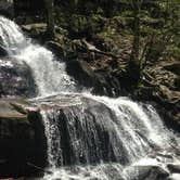 Review photo of Elkmont Campground — Great Smoky Mountains National Park by Elliot Q., April 26, 2017