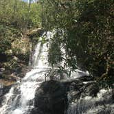 Review photo of Elkmont Campground — Great Smoky Mountains National Park by Elliot Q., April 26, 2017