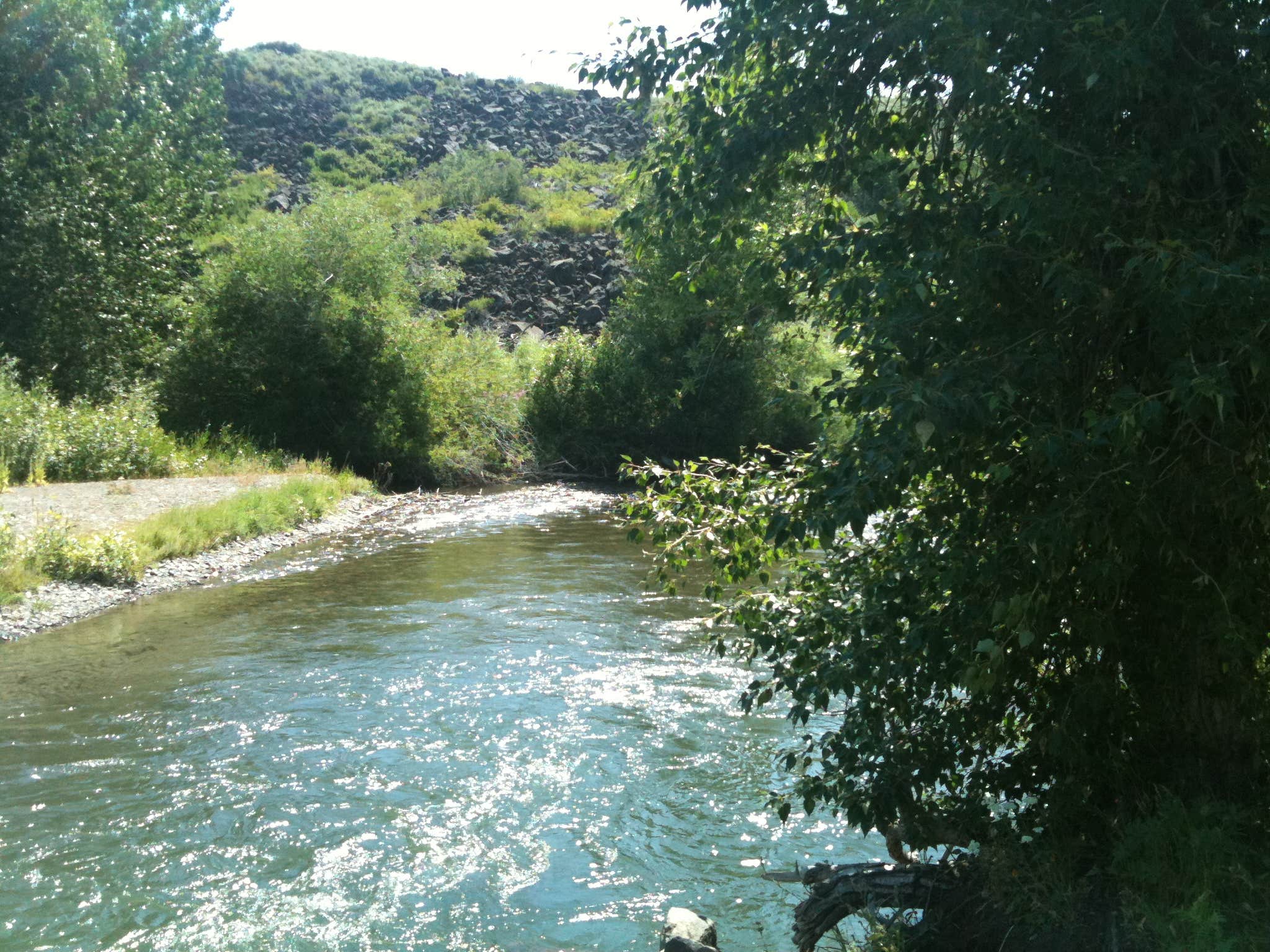 Camper submitted image from Little Wood River - 4